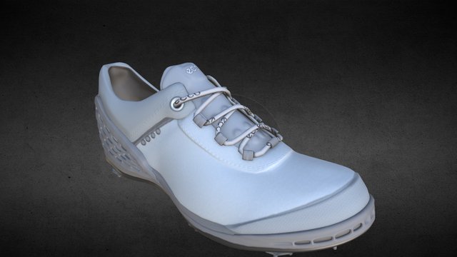 Ecco Golf Shoe 3D Model