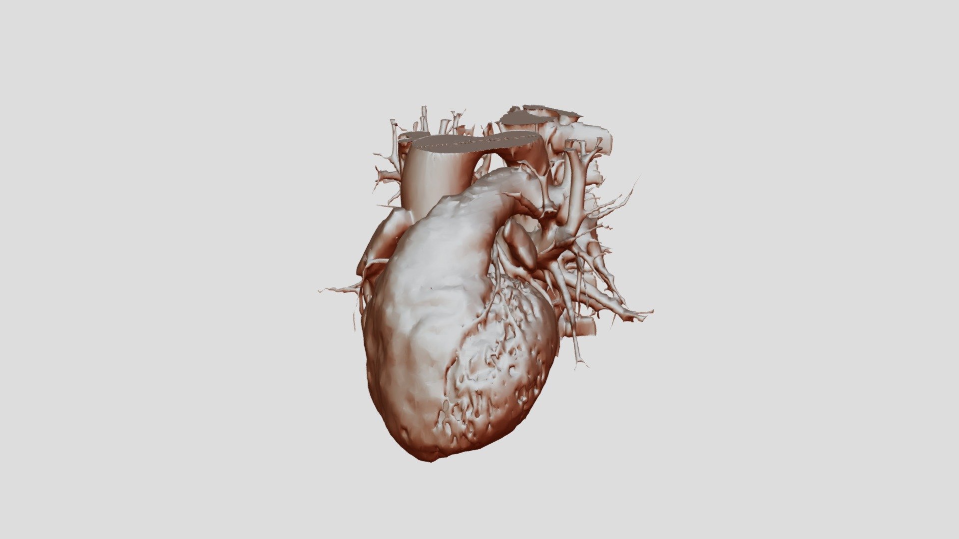 Embodi3d heart - 3D model by kotharyabbas [b0496f0] - Sketchfab