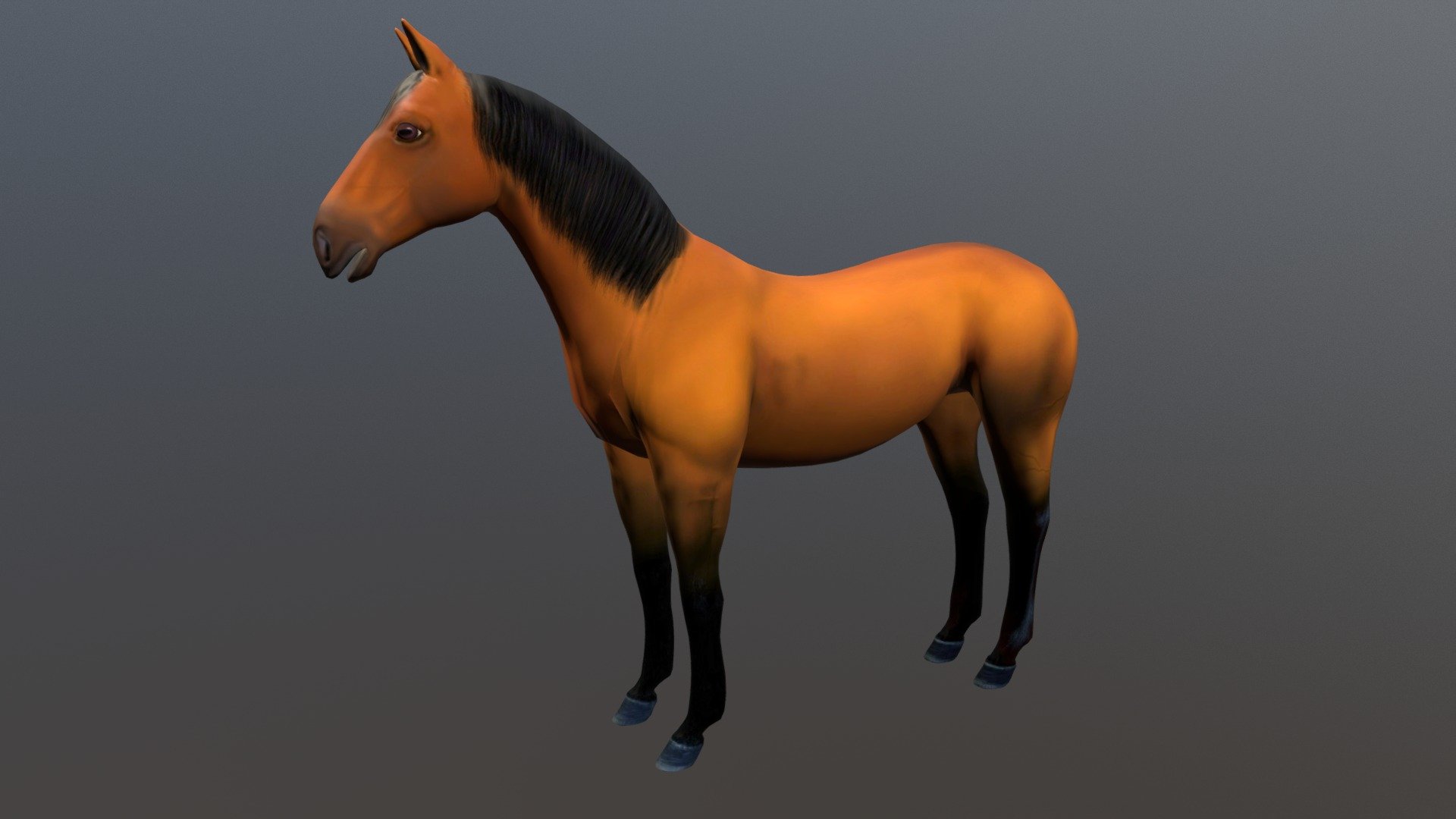 Horse model