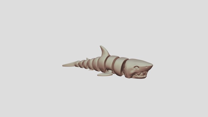 Shark_v2_0_D 3D Model