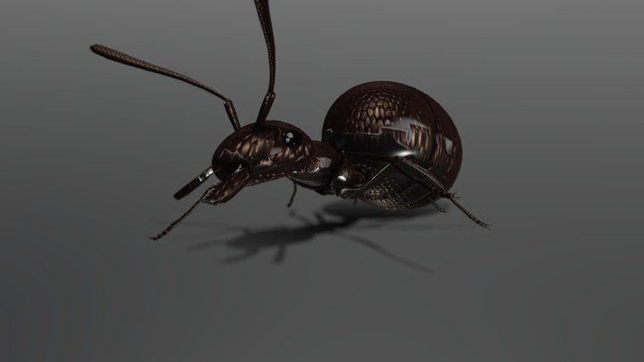 Game-Ready Queen ant Model 3D Model