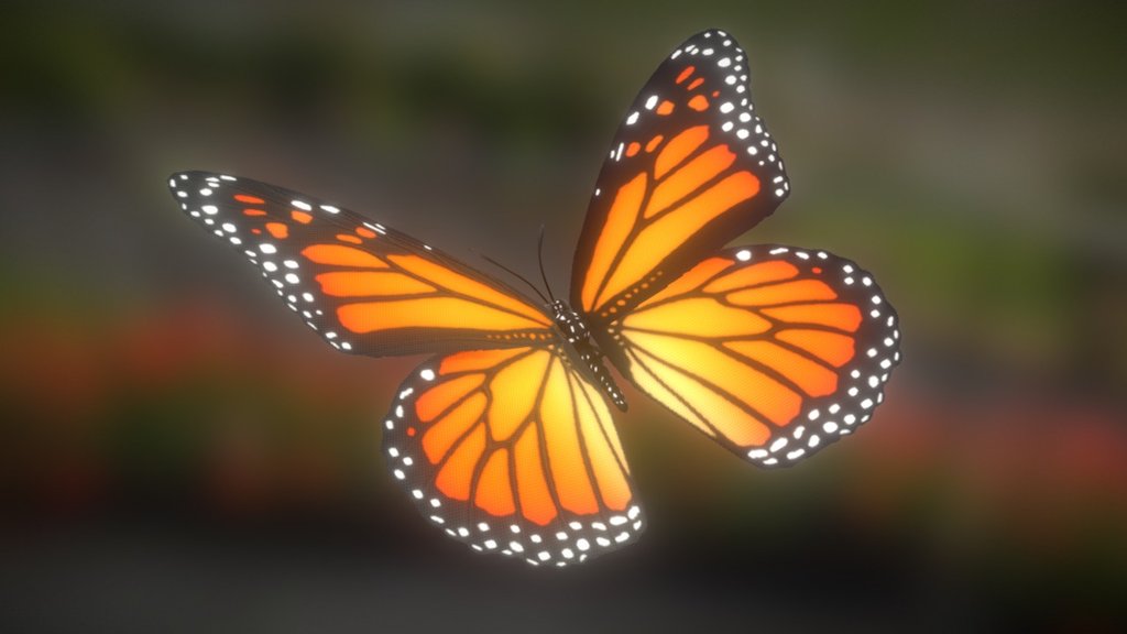 Butterfly 00, Monarch - 3D model by hinxlinx [b04ee6e] - Sketchfab