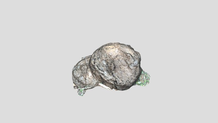 cow_poo_01 3D Model