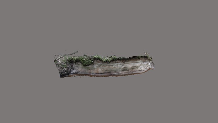 Devonian outcrop 3D Model