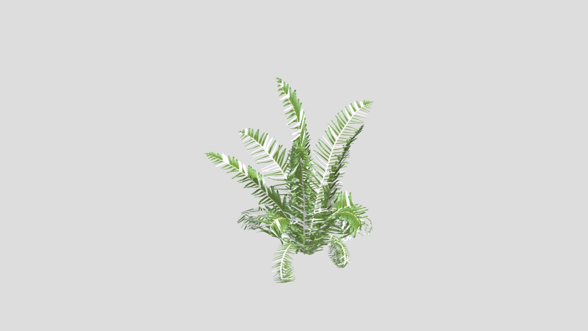 蕨类植物 绿色植物 蕨叶植物-fbx 爱给网 Aigei Com