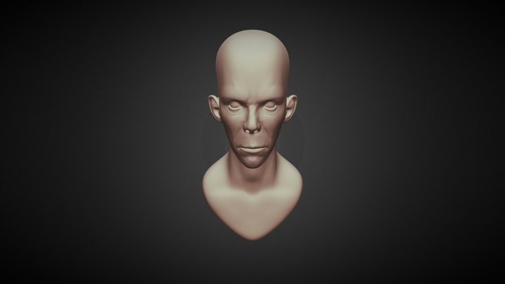 Head 3D Model