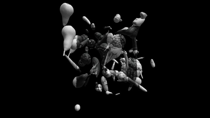 Tromp L'eoil Image Mapping 3D Model