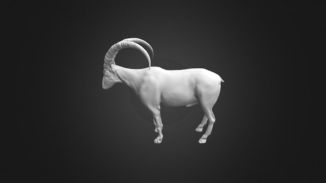 GOAT WIP 3D Model