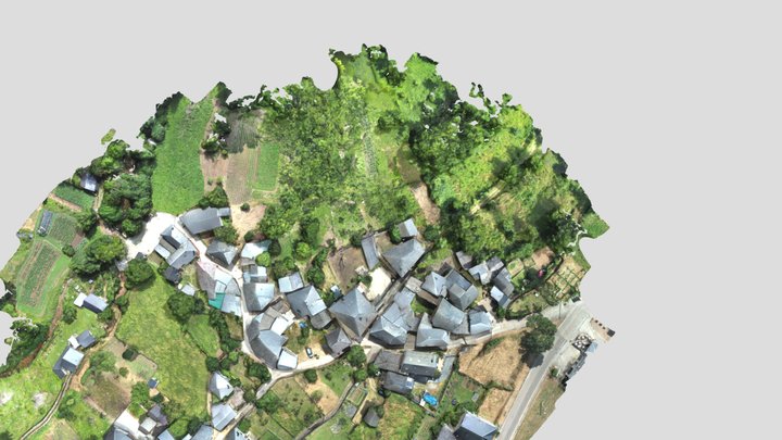 Village Scan with Drone 3D Model