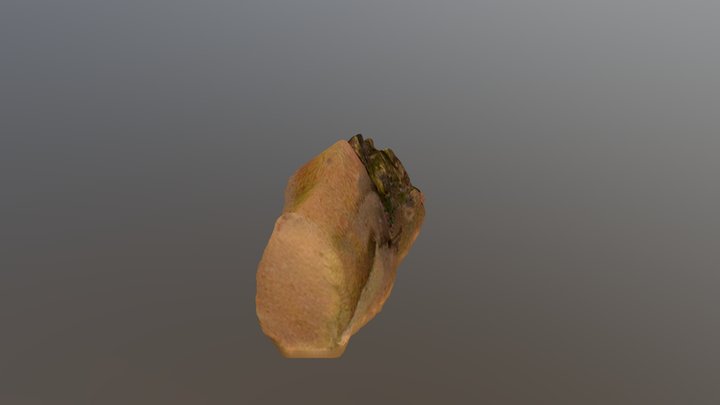 one hand 3D Model