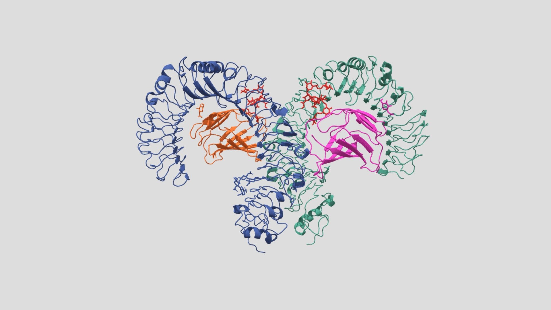 Complejo  TLR4-MD-2-LPS