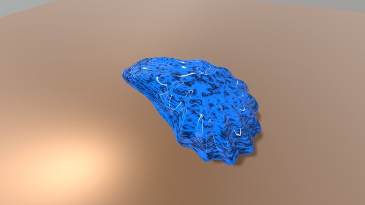 OYSTER SHELL 3D Model