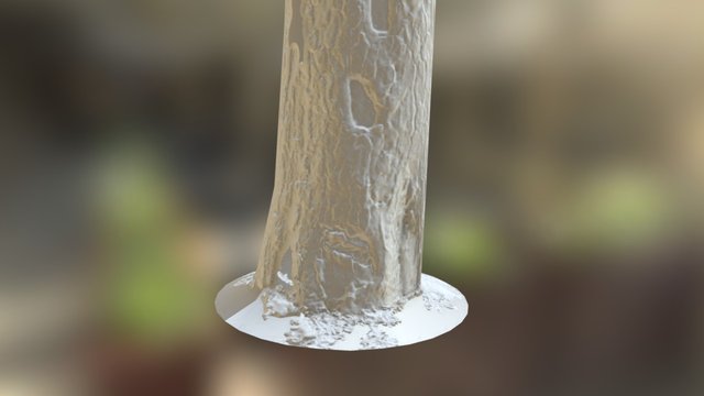 Test 3D Model