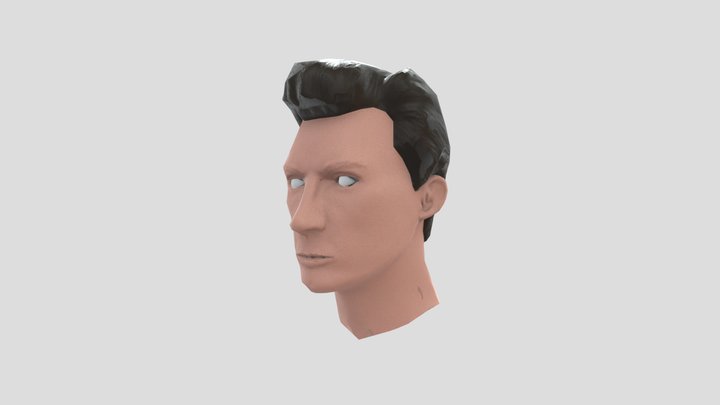 AGC - Week 4 Project: Tom Holland Model 3D Model