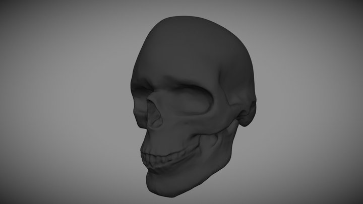 Skull practice in blender 3D Model