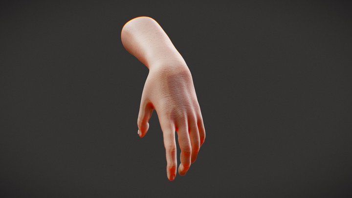 hand sculpt 3D Model