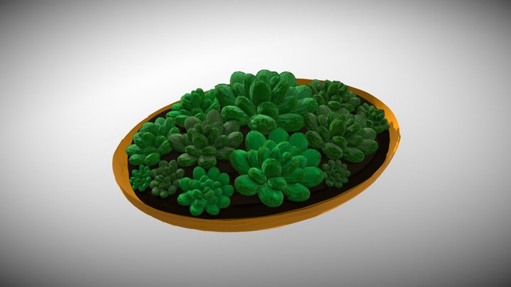 Succulent Dish 3D Model
