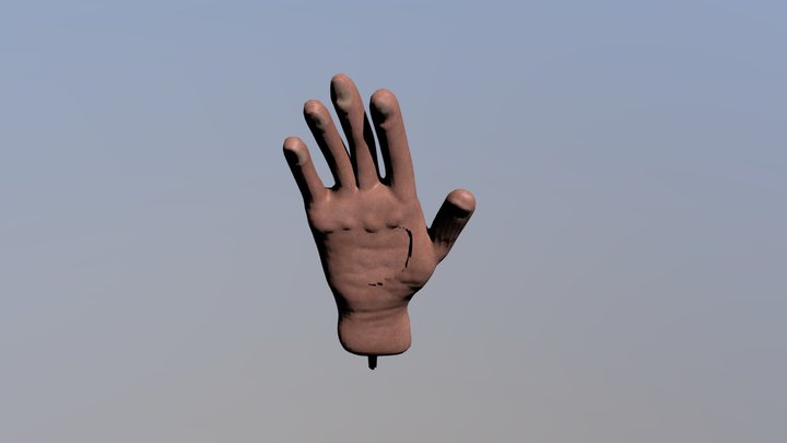 Blender Hand FINISHED 3D Model