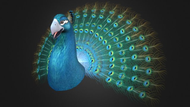 Fan-art Chocobo Mixed Peacock 3D Model