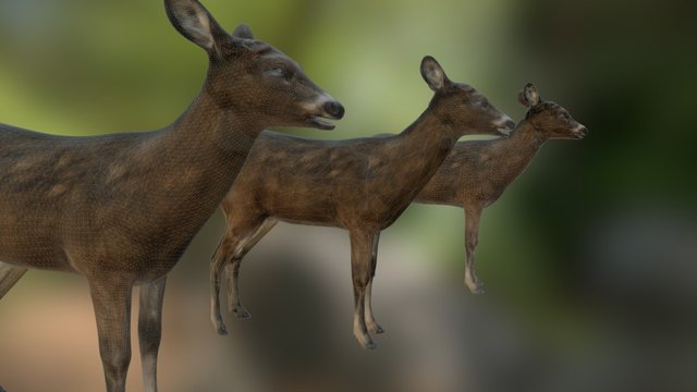 InstaLOD Vertex Weighting Demo 3D Model