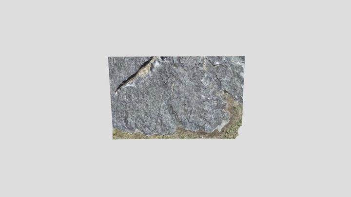 Graffiti in Rock 3D Model