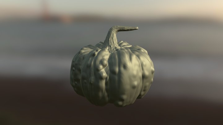 Pumpkin Sculpt 3D Model