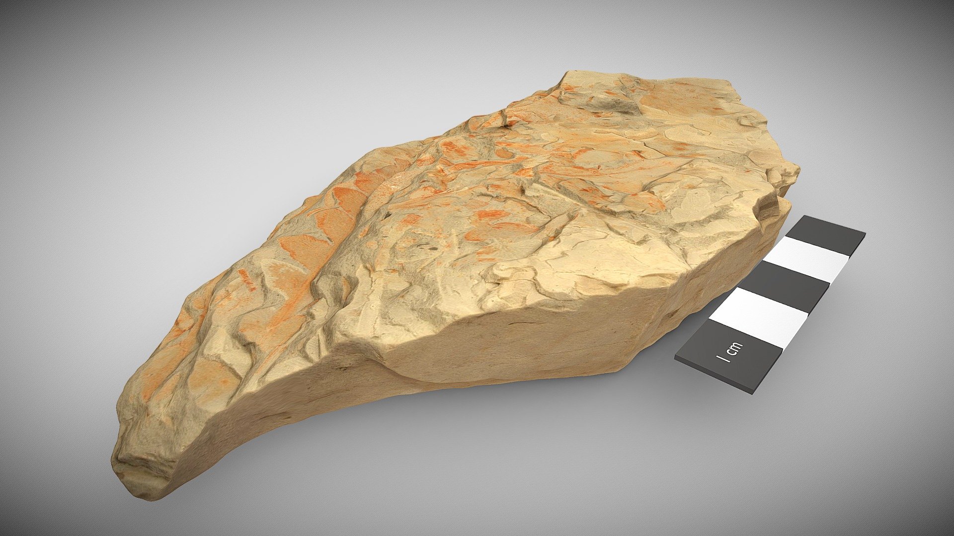 Triassic fossil plants 3D model by UQ School of Earth and