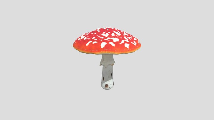 Amanita Mushroom #mushroom