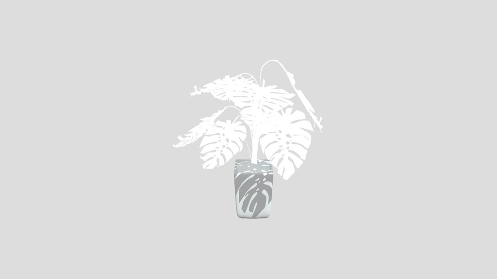 Monstera With Golden Marbling Vase