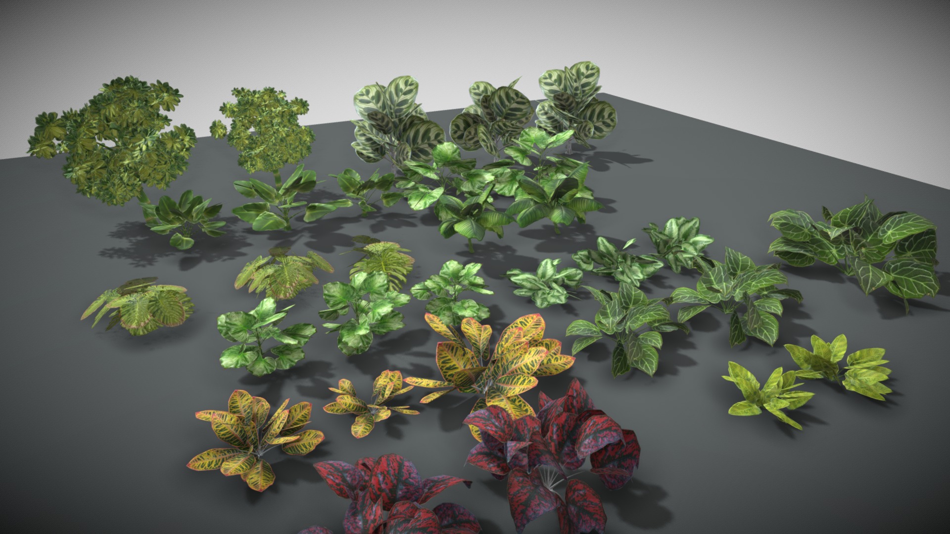 3D model Tropical Vegetation Pack 01 - This is a 3D model of the Tropical Vegetation Pack 01. The 3D model is about a group of small plants.