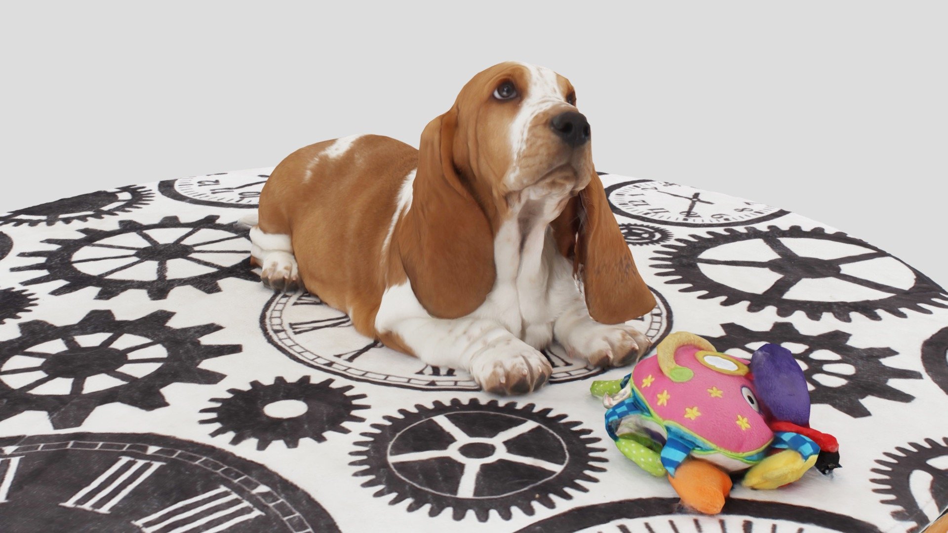 Hush Puppy 3D model by GravityB [b07f9ba] Sketchfab
