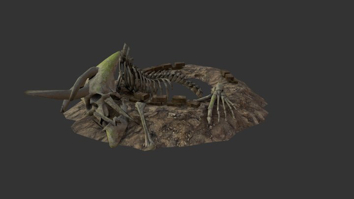 Alien Remains 3D Model