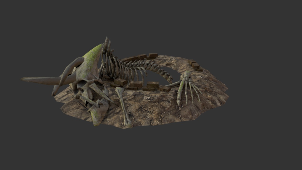 3D model Alien Remains - This is a 3D model of the Alien Remains. The 3D model is about a bug on a rock.
