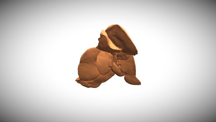 Dog, Liver 3D Model