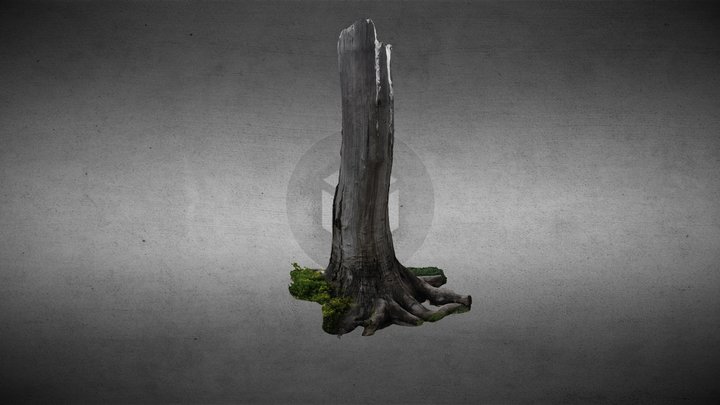Stump 3D Model