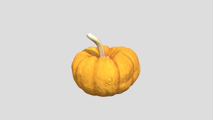 Little Pumpkin - med-poly 3D Model