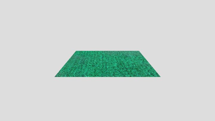 grass 3D Model