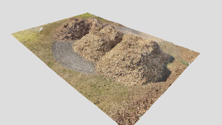Wood chip pile | Photogrammetry | Point Cloud 3D Model