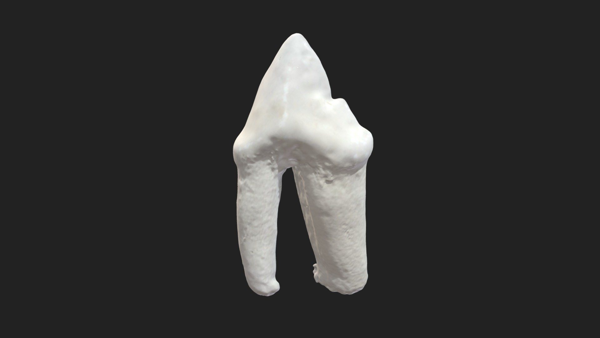 2nd cheek tooth (3rd premolar) cat (upper jaw) - Download Free 3D model ...