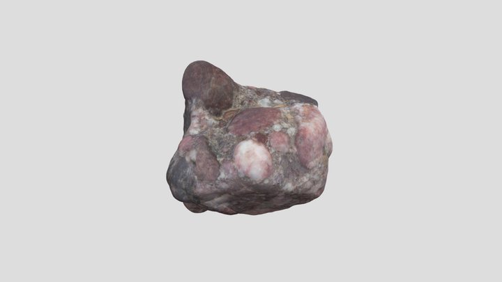Conglomerate 3D Model