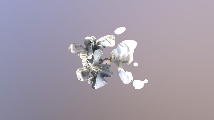 Senioritous*pending Shoes 3D Model