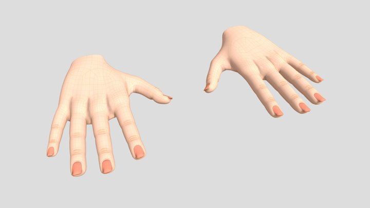 Woman hands low-poly quads with UV 3D Model