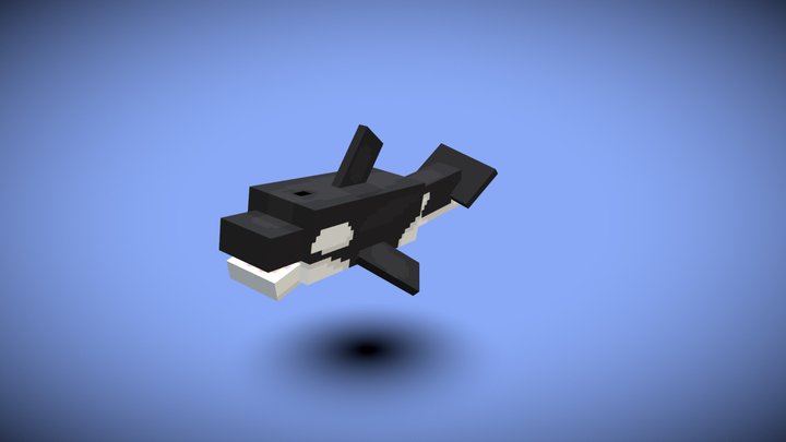 Orca 3D Model