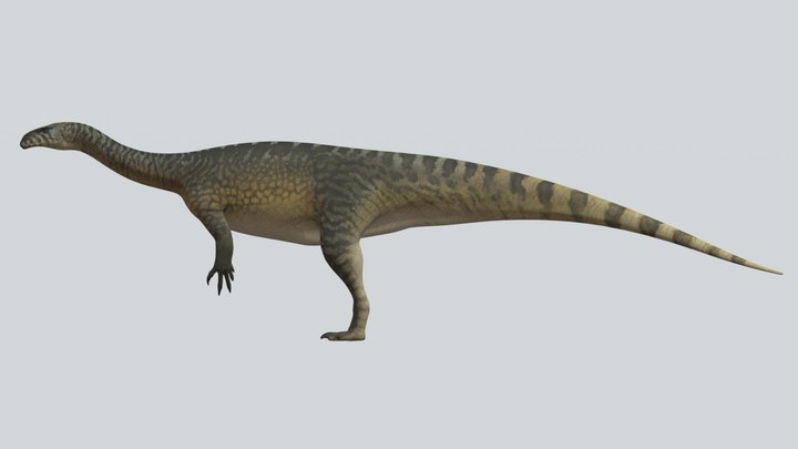 Accurate Plateosaurus trossingensis – Free 3D Model STL