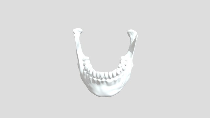 mandíbula 3D Model