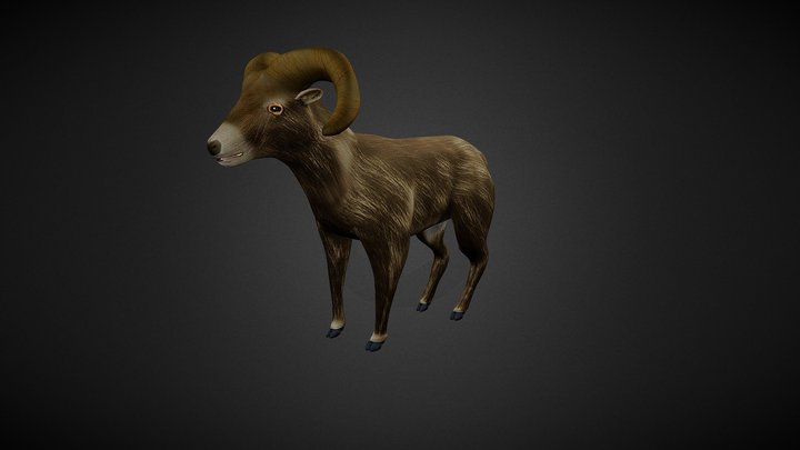 Bighorn sheep 3D Model