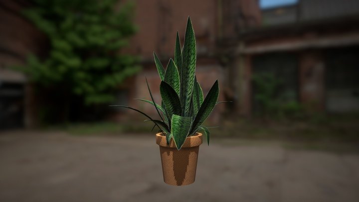 Potted Plant 3D Model