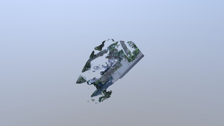 Poarta_Izmail_2 3D Model