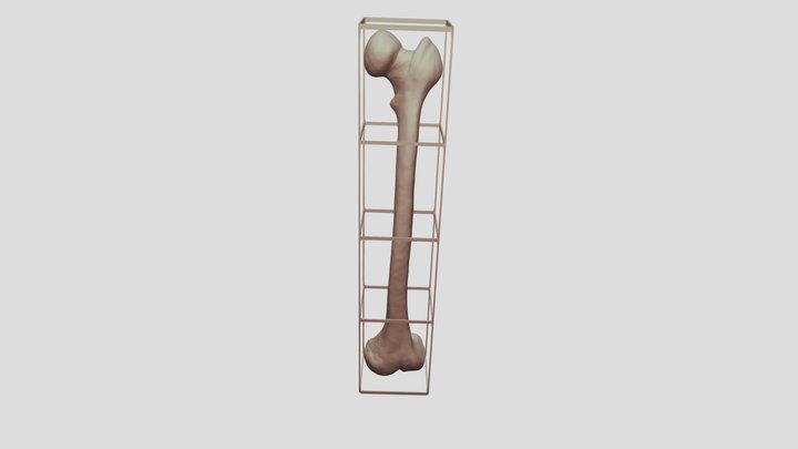 - Leg_Femur (L)_2 3D Model