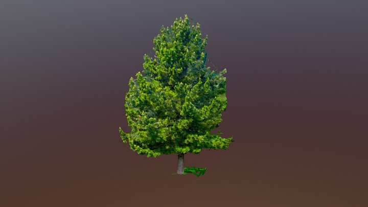 tree test – Free 3D Model STL